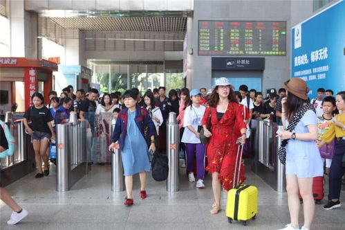 ?？谖鍌€臨時旅游服務臺高效運作，累計服務近7萬人次彰顯旅游服務新高度
